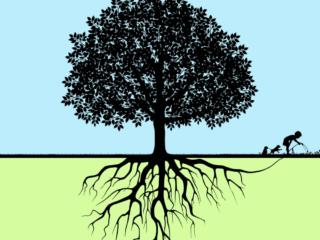 TreePeople